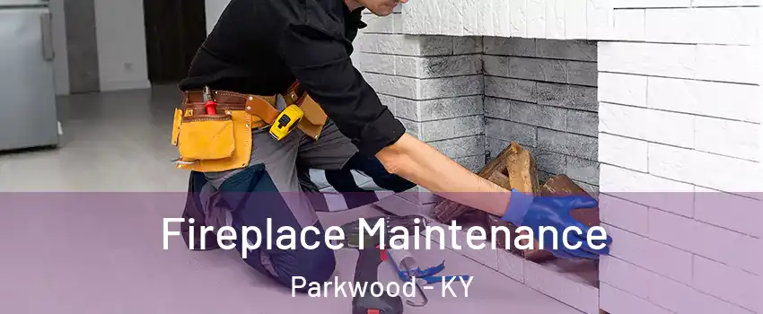 Fireplace Maintenance Parkwood - KY