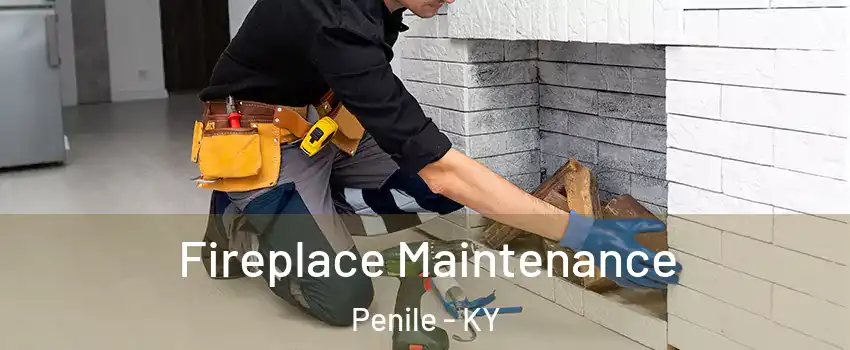 Fireplace Maintenance Penile - KY