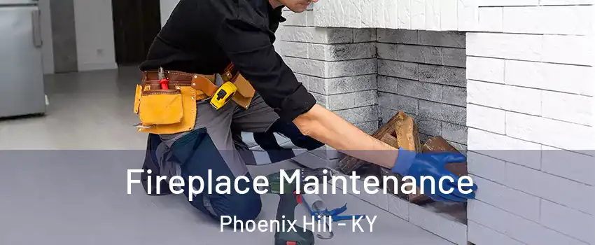 Fireplace Maintenance Phoenix Hill - KY