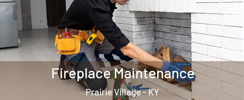 Fireplace Maintenance Prairie Village - KY