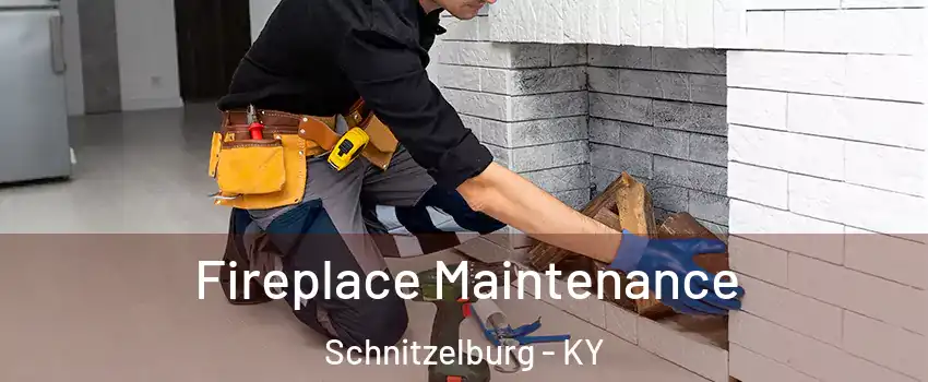 Fireplace Maintenance Schnitzelburg - KY