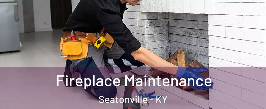 Fireplace Maintenance Seatonville - KY