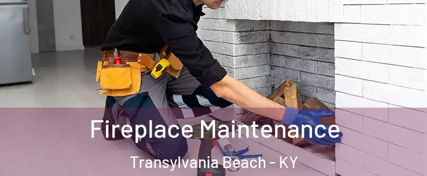 Fireplace Maintenance Transylvania Beach - KY