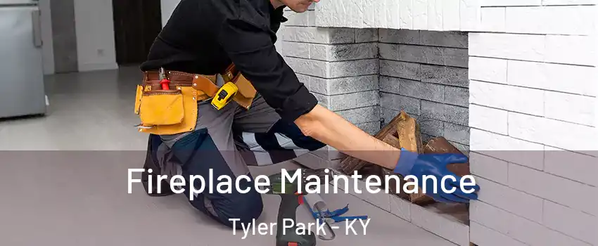 Fireplace Maintenance Tyler Park - KY