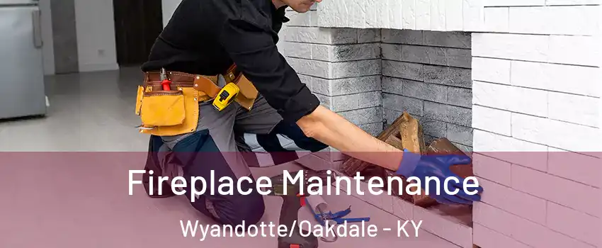 Fireplace Maintenance Wyandotte/Oakdale - KY