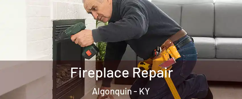 Fireplace Repair Algonquin - KY