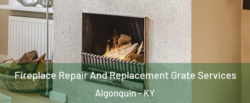 Fireplace Repair And Replacement Grate Services Algonquin - KY