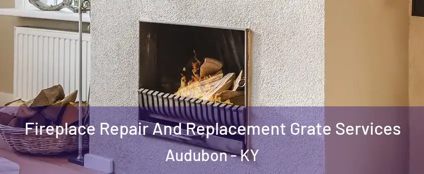 Fireplace Repair And Replacement Grate Services Audubon - KY