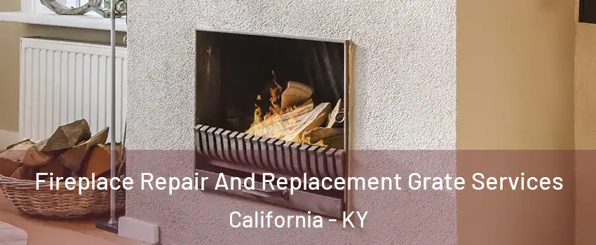 Fireplace Repair And Replacement Grate Services California - KY