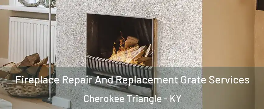 Fireplace Repair And Replacement Grate Services Cherokee Triangle - KY