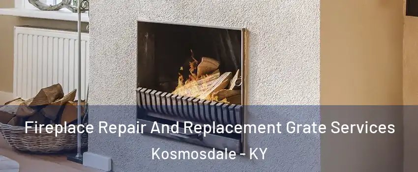 Fireplace Repair And Replacement Grate Services Kosmosdale - KY