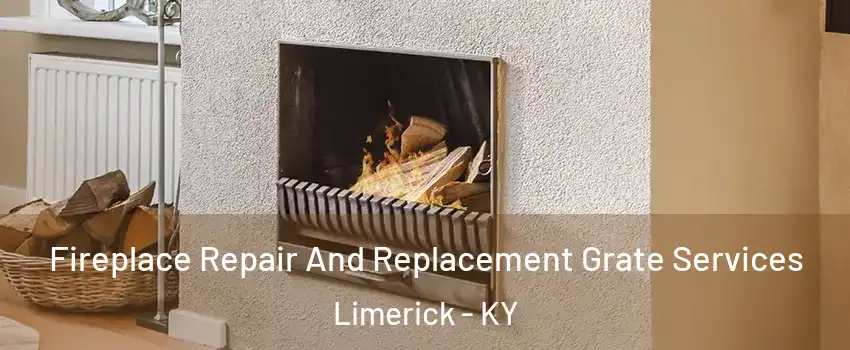 Fireplace Repair And Replacement Grate Services Limerick - KY