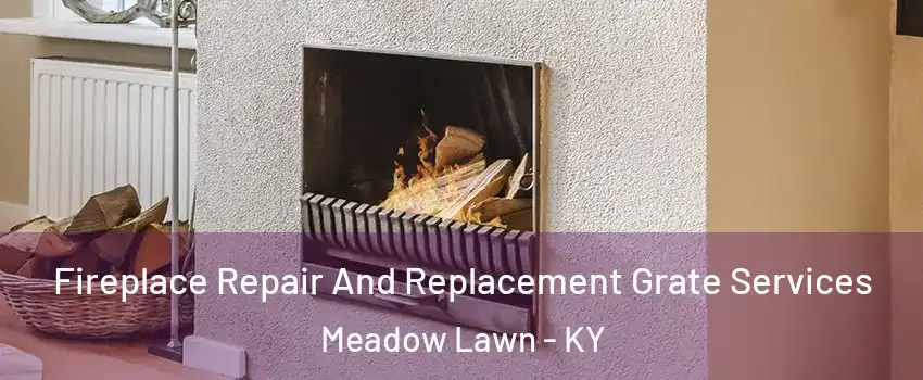 Fireplace Repair And Replacement Grate Services Meadow Lawn - KY