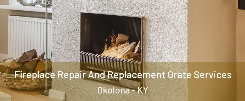 Fireplace Repair And Replacement Grate Services Okolona - KY