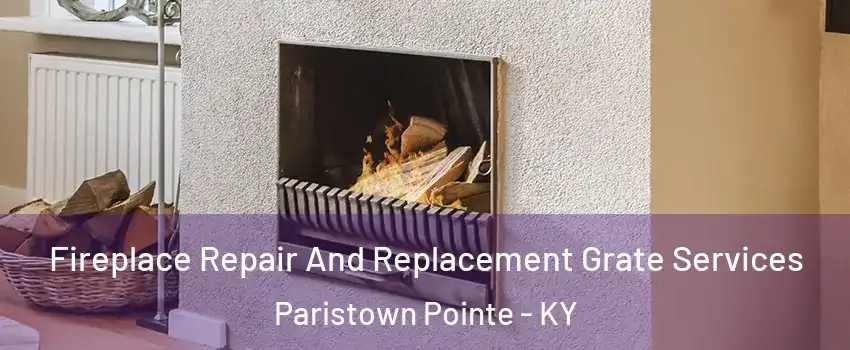 Fireplace Repair And Replacement Grate Services Paristown Pointe - KY