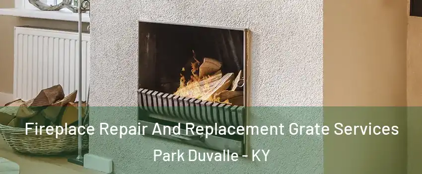 Fireplace Repair And Replacement Grate Services Park Duvalle - KY