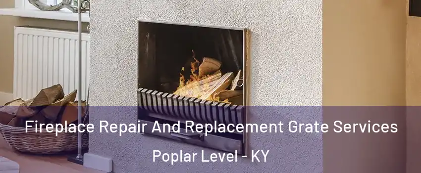 Fireplace Repair And Replacement Grate Services Poplar Level - KY