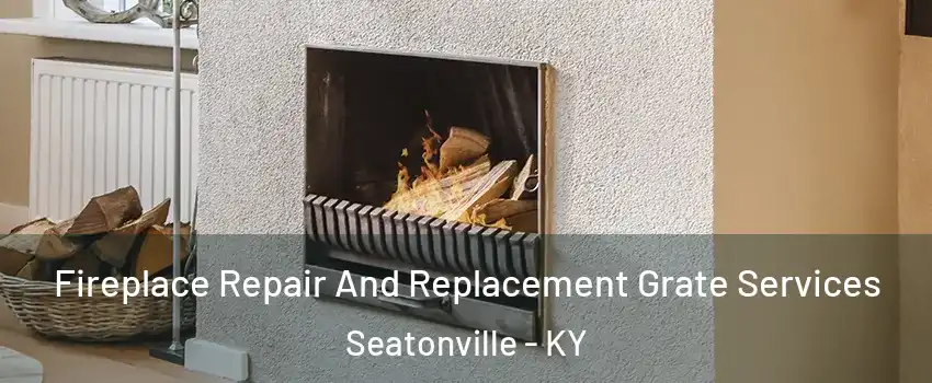 Fireplace Repair And Replacement Grate Services Seatonville - KY