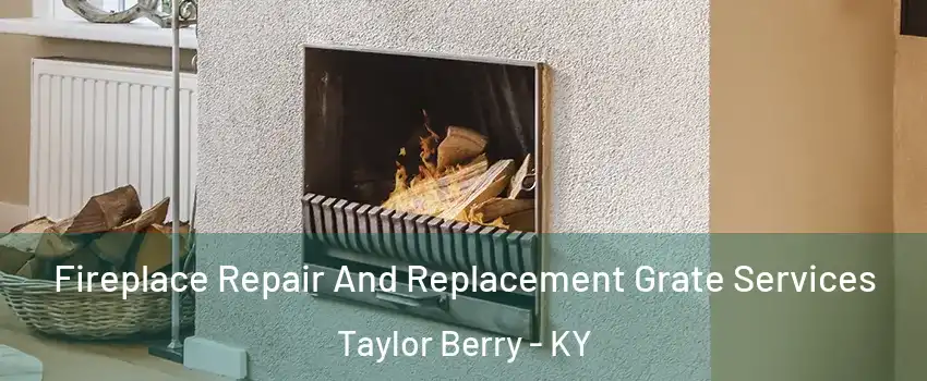 Fireplace Repair And Replacement Grate Services Taylor Berry - KY