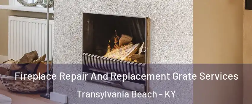 Fireplace Repair And Replacement Grate Services Transylvania Beach - KY