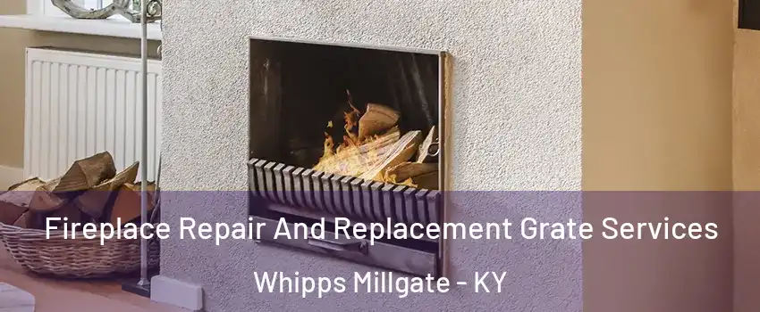 Fireplace Repair And Replacement Grate Services Whipps Millgate - KY