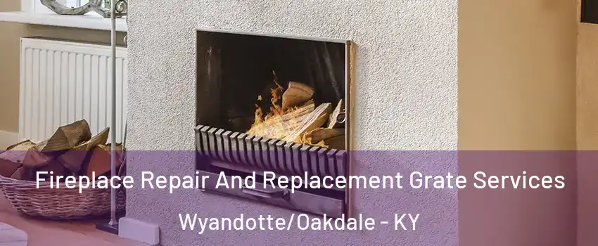 Fireplace Repair And Replacement Grate Services Wyandotte/Oakdale - KY