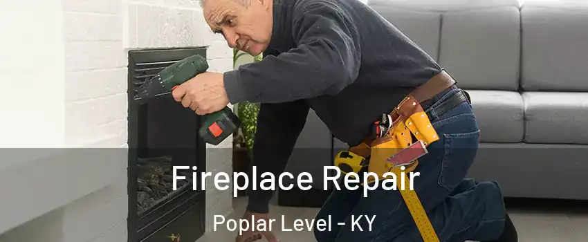 Fireplace Repair Poplar Level - KY