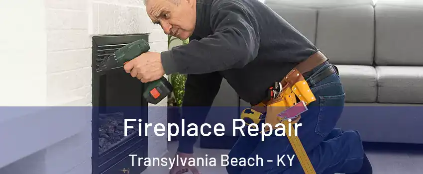 Fireplace Repair Transylvania Beach - KY