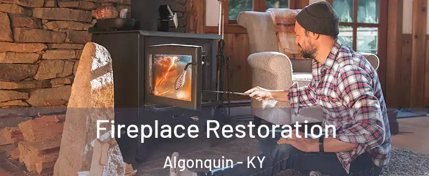 Fireplace Restoration Algonquin - KY