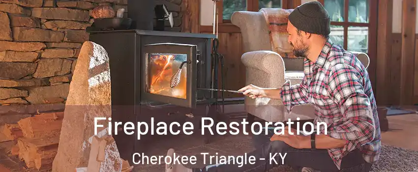 Fireplace Restoration Cherokee Triangle - KY