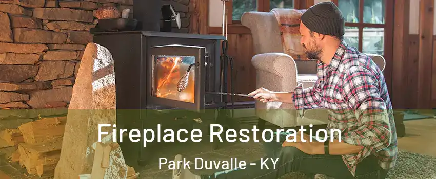 Fireplace Restoration Park Duvalle - KY