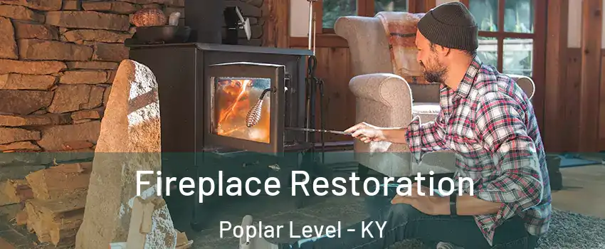 Fireplace Restoration Poplar Level - KY