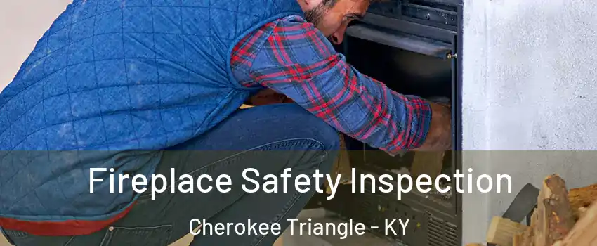 Fireplace Safety Inspection Cherokee Triangle - KY