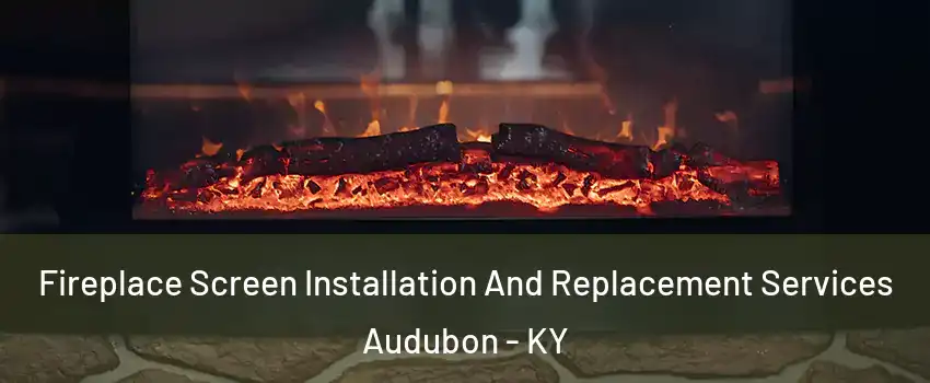 Fireplace Screen Installation And Replacement Services Audubon - KY