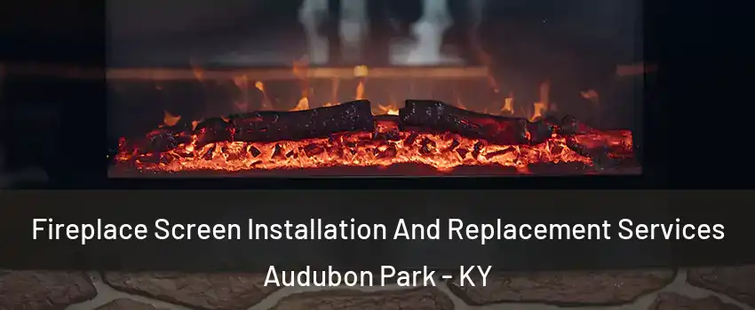 Fireplace Screen Installation And Replacement Services Audubon Park - KY