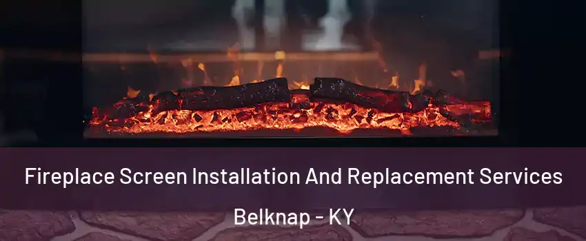 Fireplace Screen Installation And Replacement Services Belknap - KY