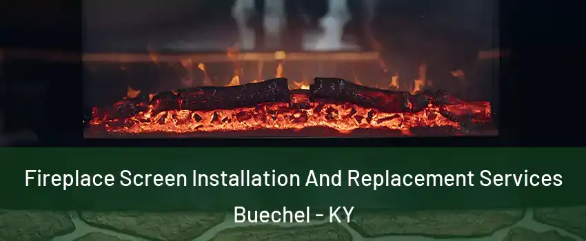 Fireplace Screen Installation And Replacement Services Buechel - KY