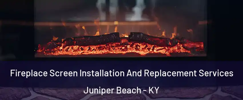 Fireplace Screen Installation And Replacement Services Juniper Beach - KY