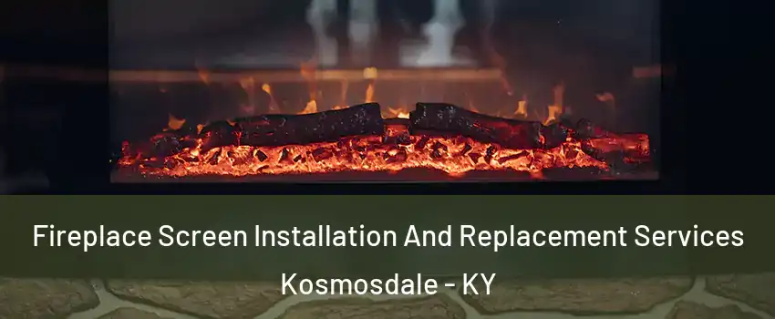 Fireplace Screen Installation And Replacement Services Kosmosdale - KY