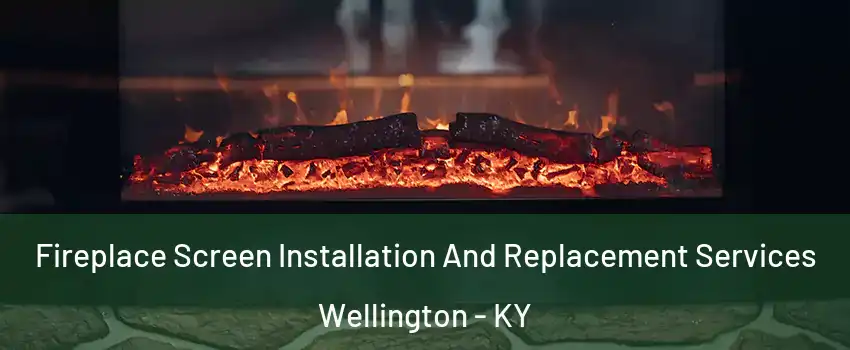 Fireplace Screen Installation And Replacement Services Wellington - KY