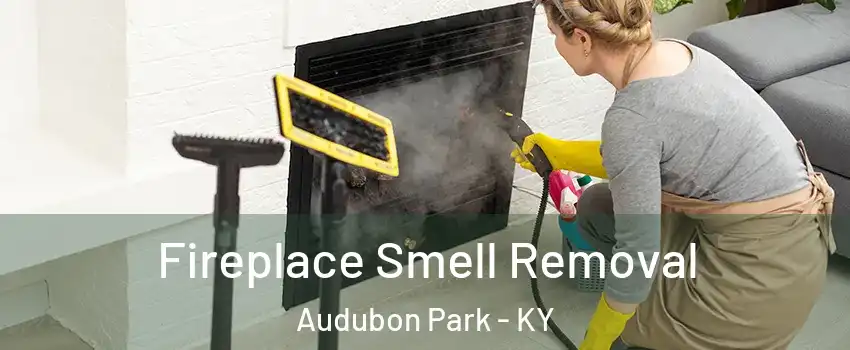 Fireplace Smell Removal Audubon Park - KY