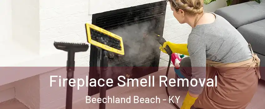 Fireplace Smell Removal Beechland Beach - KY