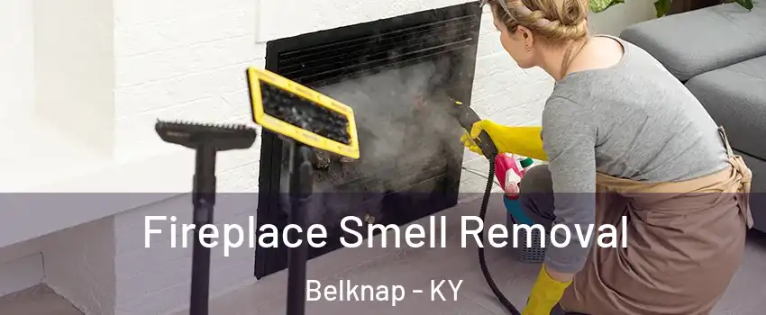 Fireplace Smell Removal Belknap - KY