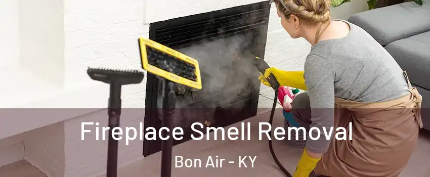 Fireplace Smell Removal Bon Air - KY