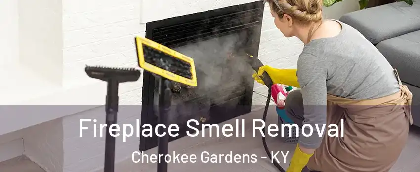 Fireplace Smell Removal Cherokee Gardens - KY