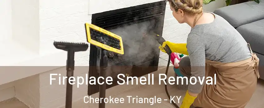 Fireplace Smell Removal Cherokee Triangle - KY