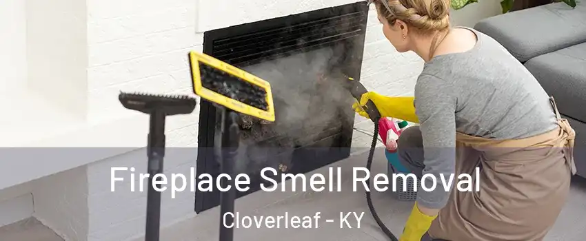 Fireplace Smell Removal Cloverleaf - KY