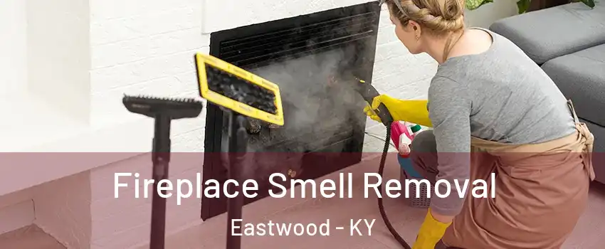 Fireplace Smell Removal Eastwood - KY