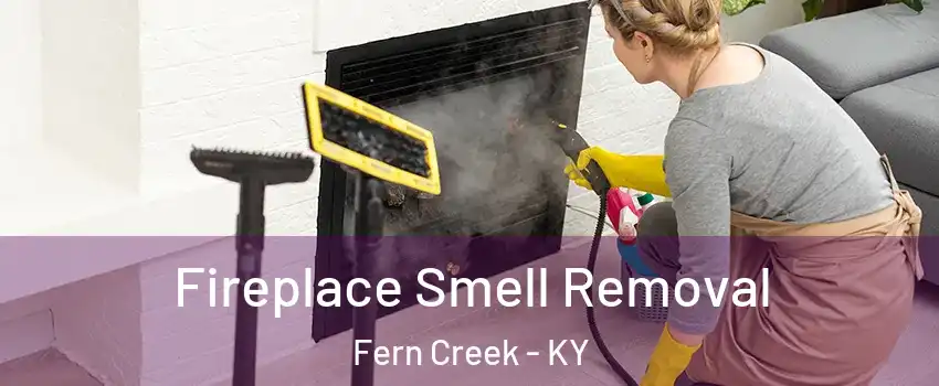 Fireplace Smell Removal Fern Creek - KY