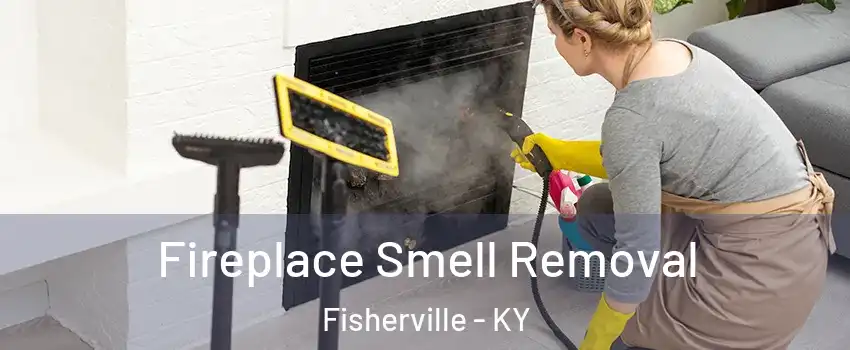 Fireplace Smell Removal Fisherville - KY